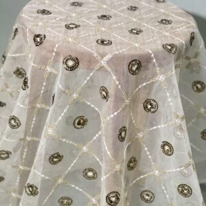 Embroidered Organza-MDEM0000087