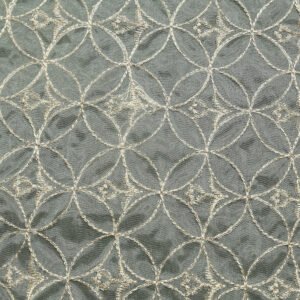 Embroidered Organza-MDEM0001737